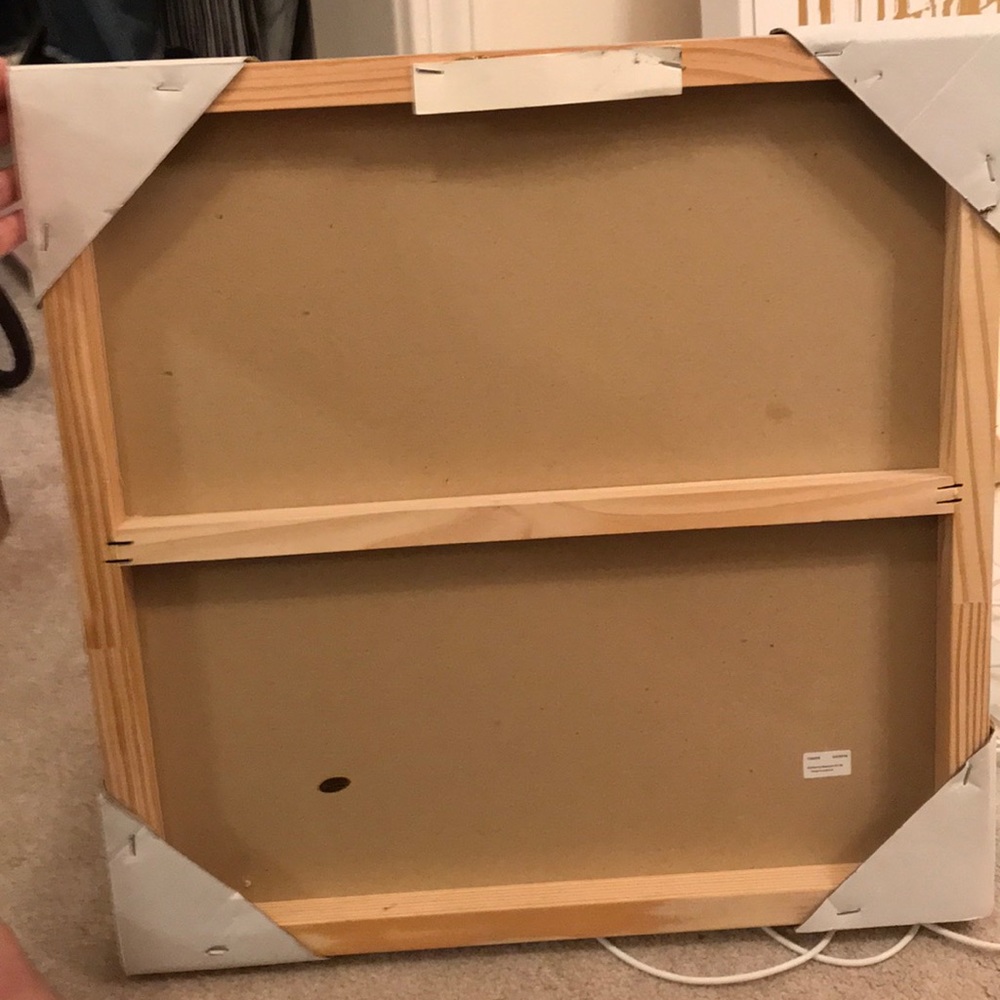 Canvas - Picture 2 of 4